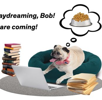 AmbassaDogBob, a pug, sitting on a green dog bed while looking at a laptop and surrounded by books and files, but thinking about a dog bowl overflowing with bone shaped dog biscuits. Quit daydreaming, Bob! Finals are coming!
                  