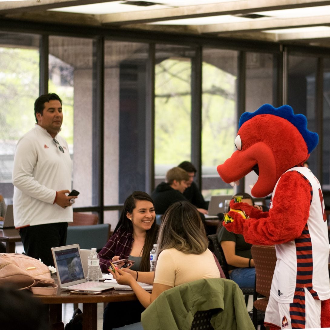 Sparky serving granola bars