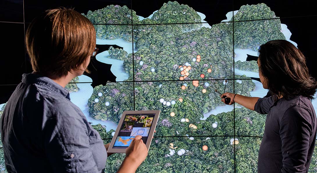 Two people looking at a map on a large screen.