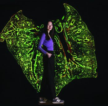 UIC student Yi-Chien Wu with her winning still photo in the Image of Research competition. Wu is standing in front of an abstract green shape in the background that resembles wings. Wu is turned to the side and is wearing a purple shirt and black pants and sneakers.
                  