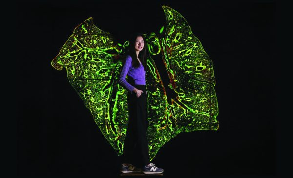 UIC student Yi-Chien Wu with her winning still photo in the Image of Research competition. Wu is standing in front of an abstract green shape in the background that resembles wings. Wu is turned to the side and is wearing a purple shirt and black pants and sneakers.