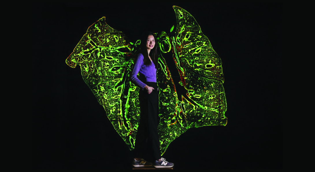 UIC student Yi-Chien Wu with her winning still photo in the Image of Research competition. Wu is standing in front of an abstract green shape in the background that resembles wings. Wu is turned to the side and is wearing a purple shirt and black pants and sneakers.