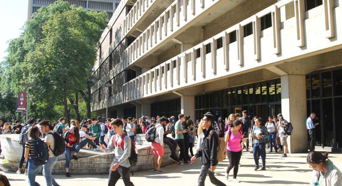 Students gathered outside of the Richard J. Daley Library building with trees in background.
